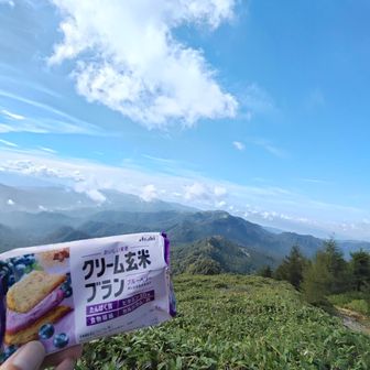 クリーム玄米ブラン ブルーベリー ハマってます