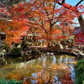 お宮参り　七五三参り
たくさんの参拝者で賑やかです