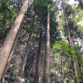 雌岳を下から眺める