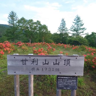 日が昇ってから山頂標識