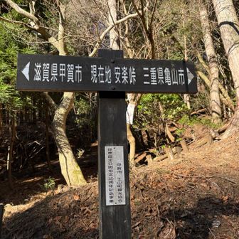 安楽峠へ達します。ここからはアスファルトの道をルンルンで下って行きます。