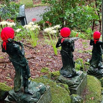 赤と白の彼岸花でカラフル