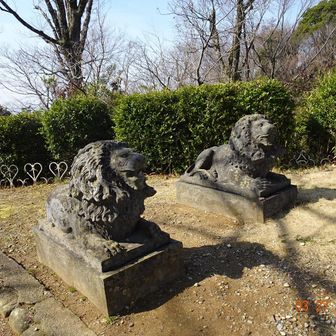 狛犬でなくライオンです
