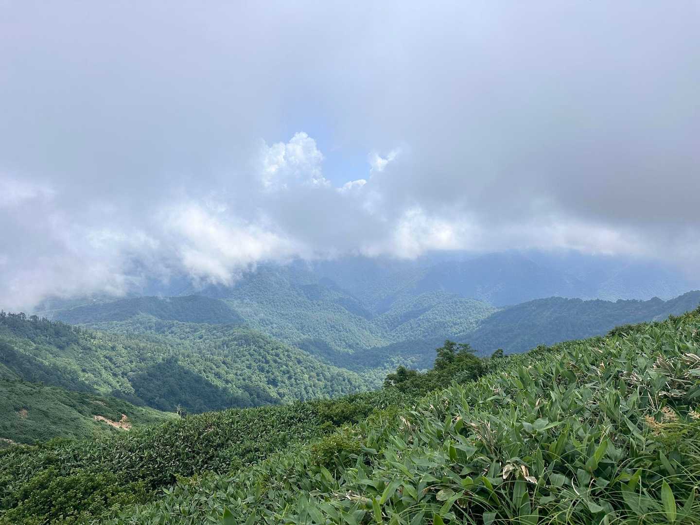 祓川登山口-神楽ヶ峰 往復コースの写真