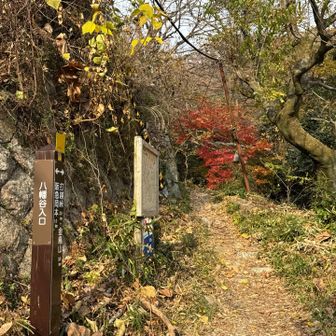 いつもの八幡谷登山口