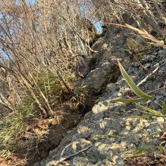 あんまり垂直型や足場に困るような鎖場は無いのでアスレチック感覚で楽しめる(息はそれなりに上がる)