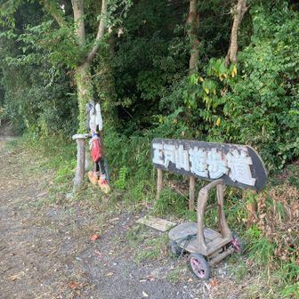 いつもの登山口から