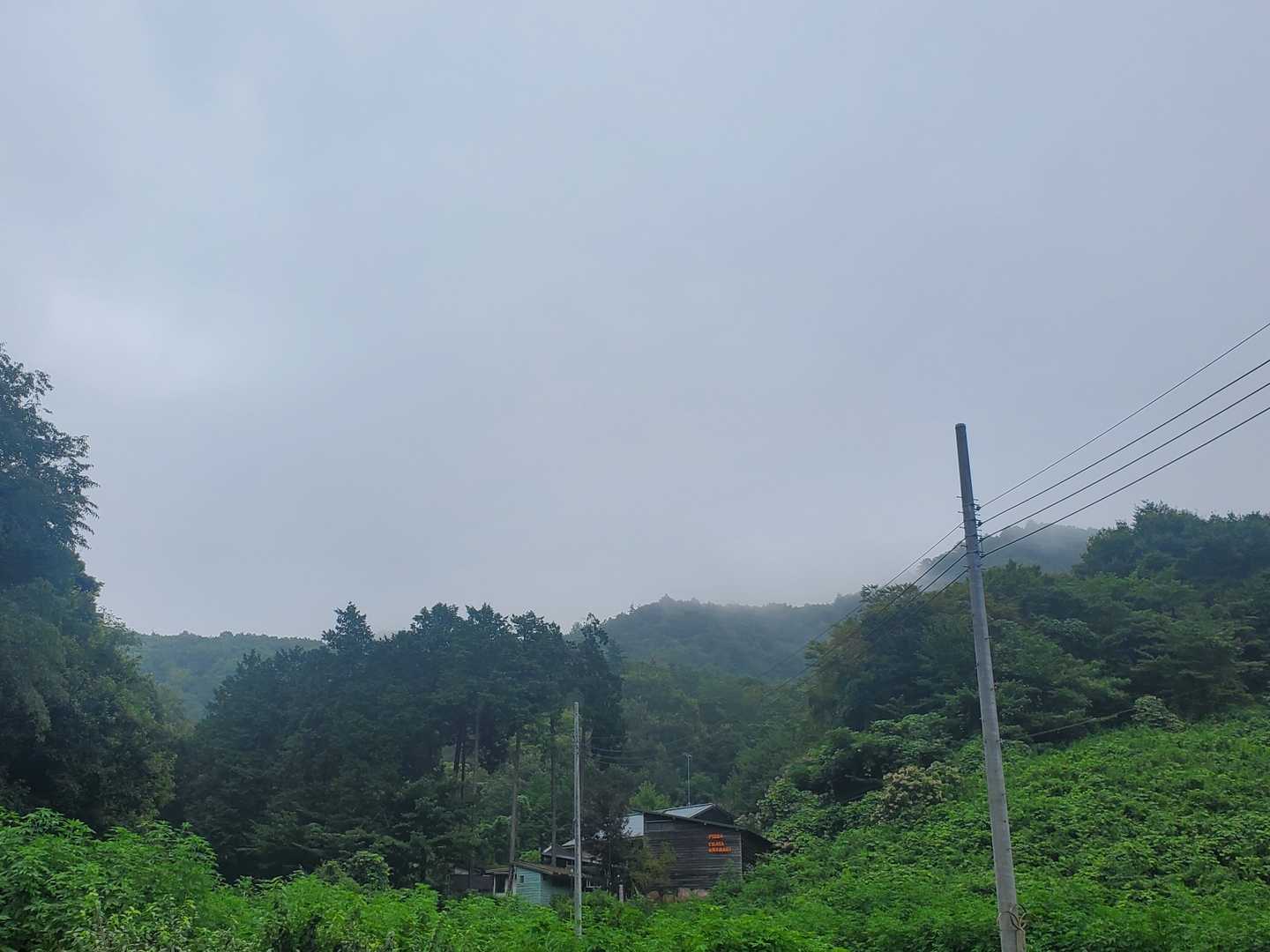 誰もいません。
ってか雨降ってきました………😅