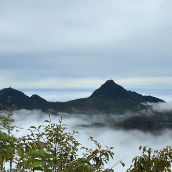右側が『にっぽん百低山』で類さんが登っていた相馬山。急そう🪜