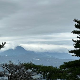 由布岳・鶴見岳は見えず…。