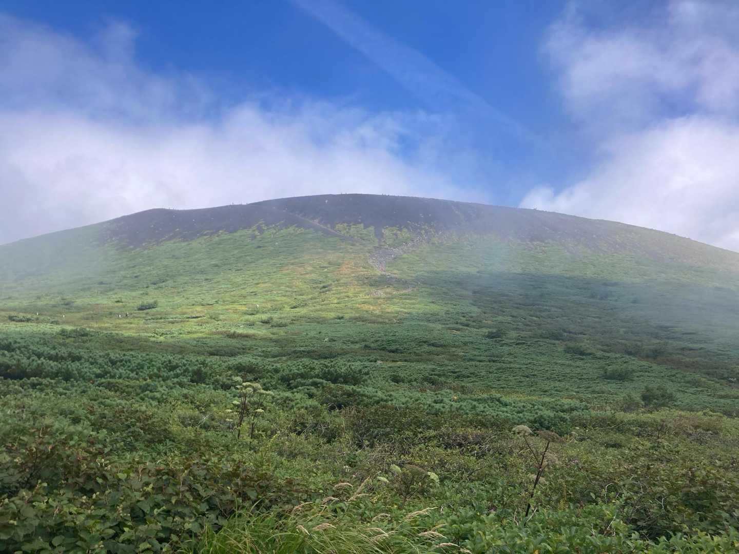 山頂から降りてきた時のこの感じが一番良かった