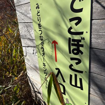 でこぼこ山登山口