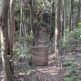 防護柵を越えて