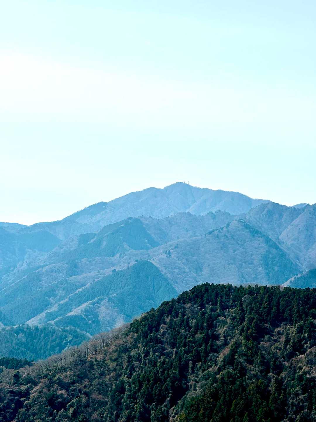 大山が見えました