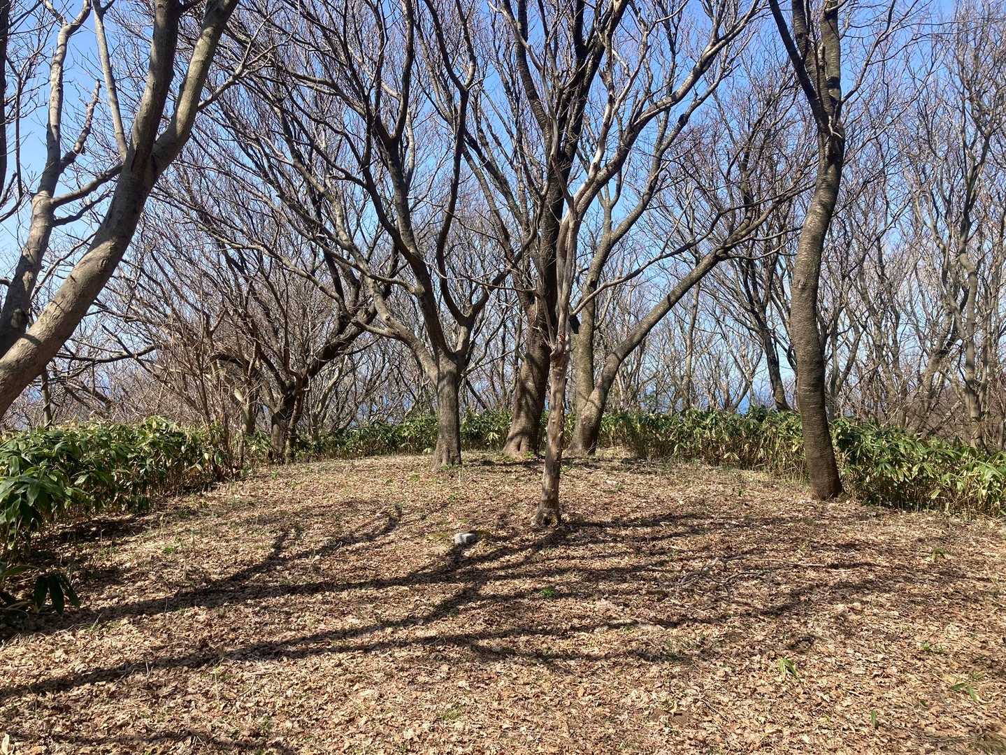 広々池ノ台