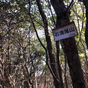 山頂標識がひっそりとありました。