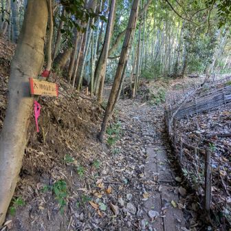 登山口では左のルート選択