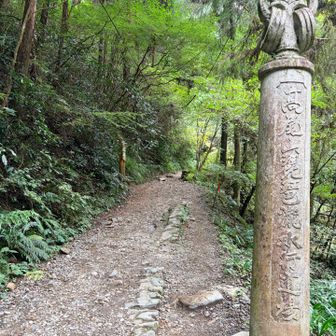 日影の沢沿いから上り
6号路の沢沿いをおりるという
私の1番好きなコースを歩きました