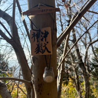 いつもの神津獄