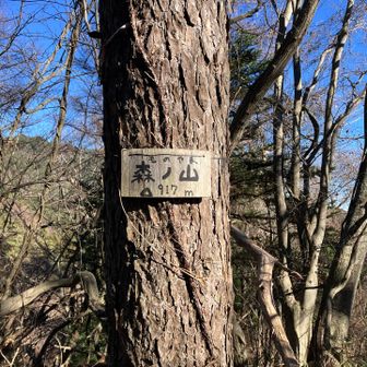 森ノ山917m
"ものやま"と読むんだ🧐