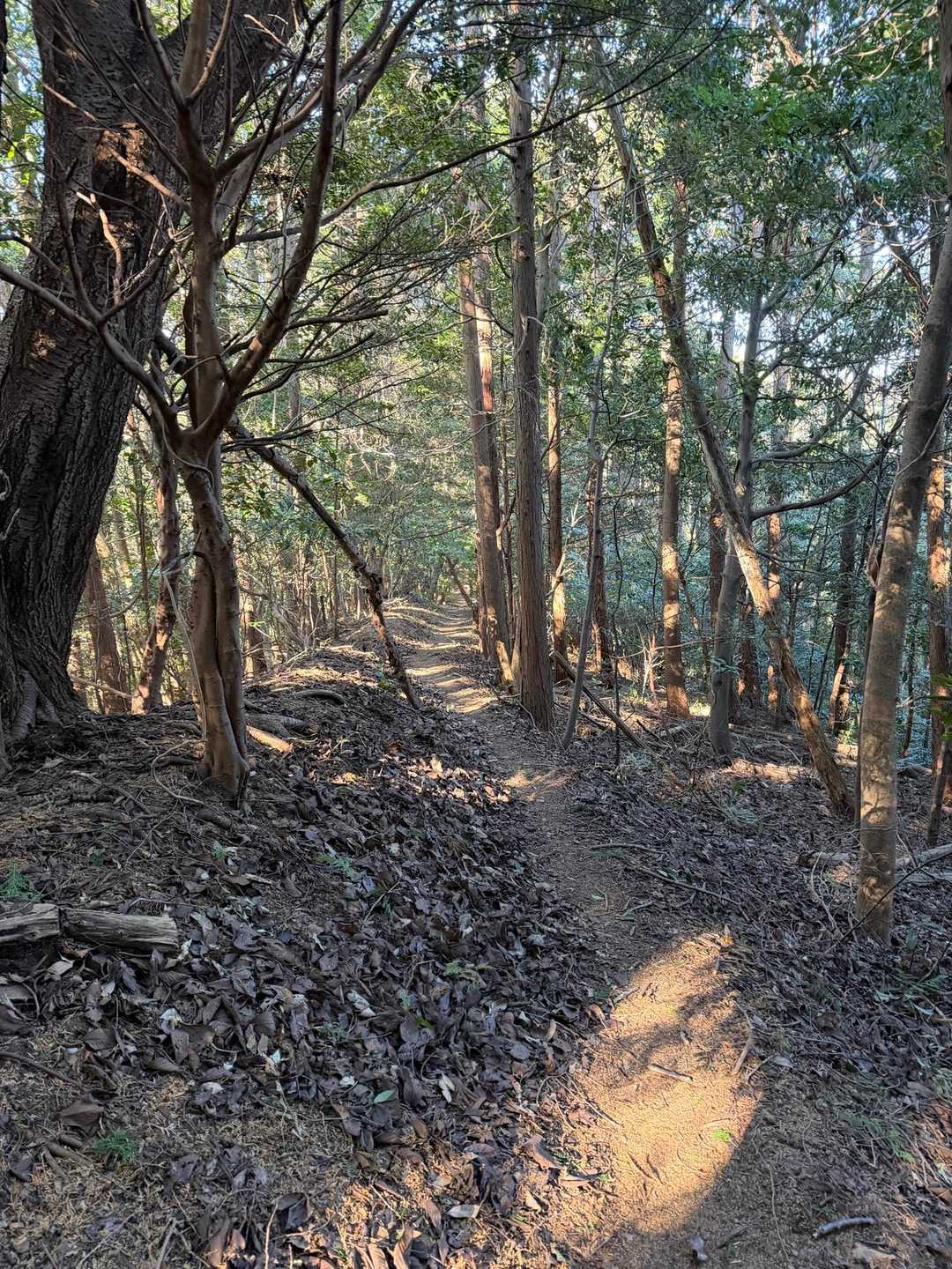 平坦な箇所も多いです