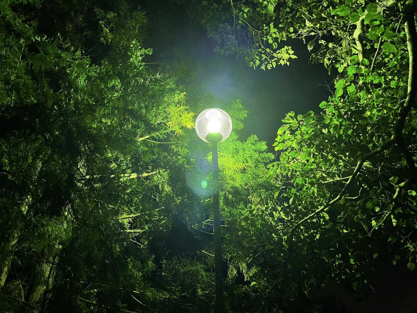 京ヶ峯 往復コースの写真