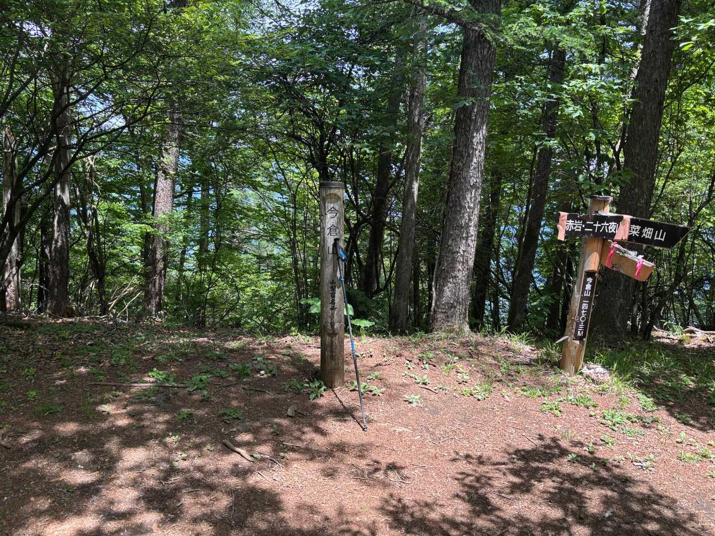 展望のない今倉山
