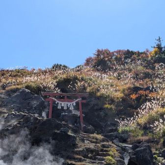 下山しました✌