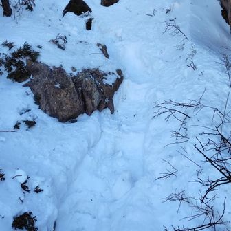 ズルズル滑り降りて来た