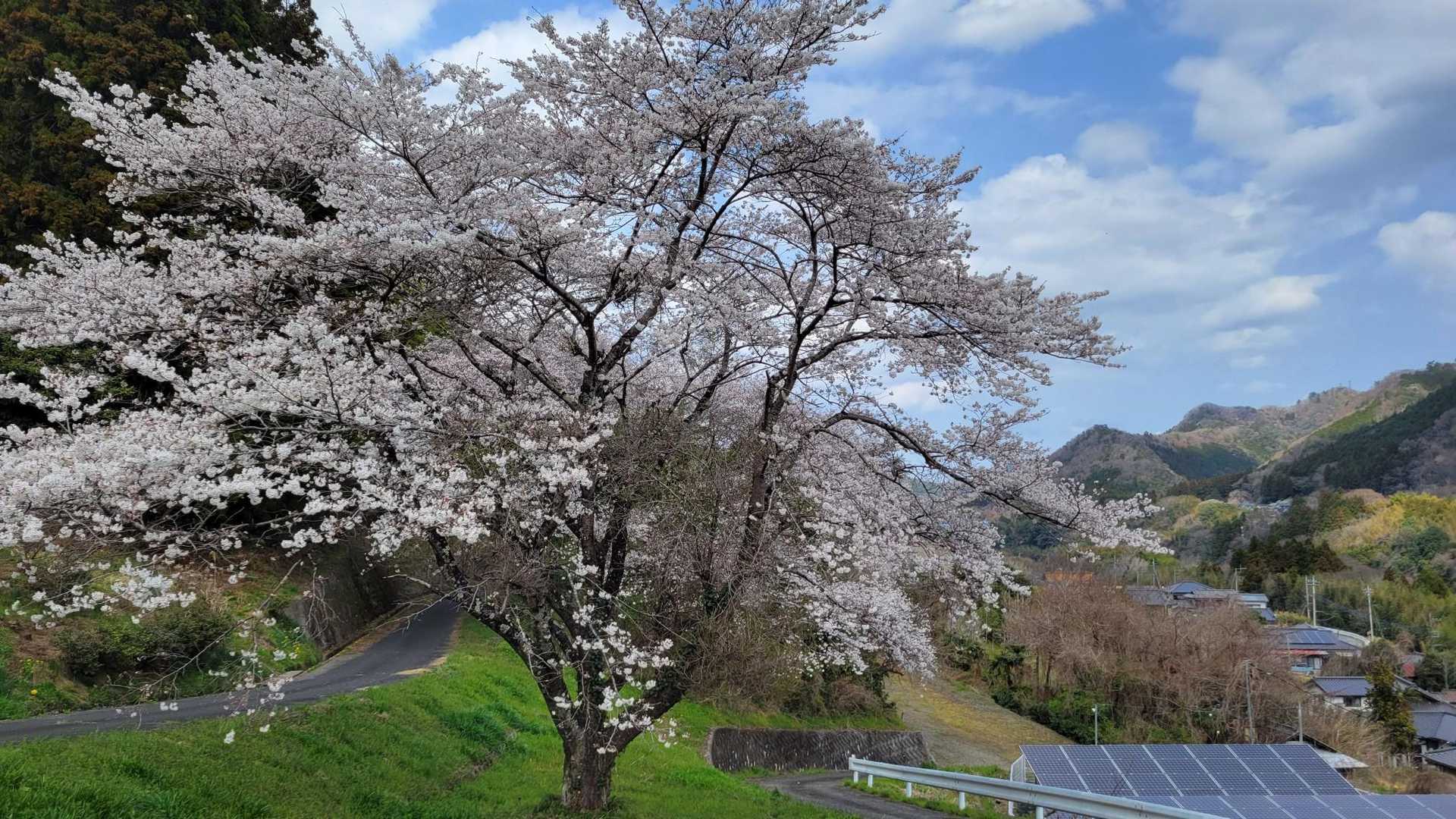 下小川駅-盛金富士登山口入口-盛金富士 往復コースの写真
