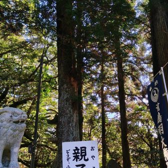 諭鶴羽神社⛩️②
https://yuzuruha.jimdoweb.com/