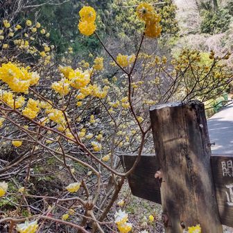 無事にゴールです。
今日も無事に下山できてありがとうございました😊