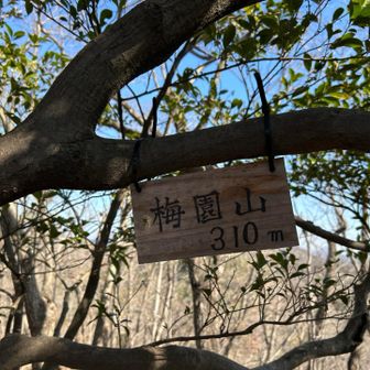 8座目梅園山👍
ここからまた桜山の分岐まで戻ります🤣