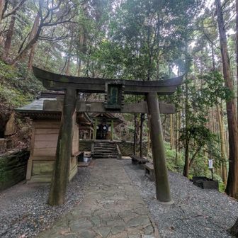 奥の院。ここからまた新しいルートへ。途中ものすごいクモの巣バリエーションあり。