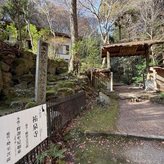 ここからも登れるらしい。