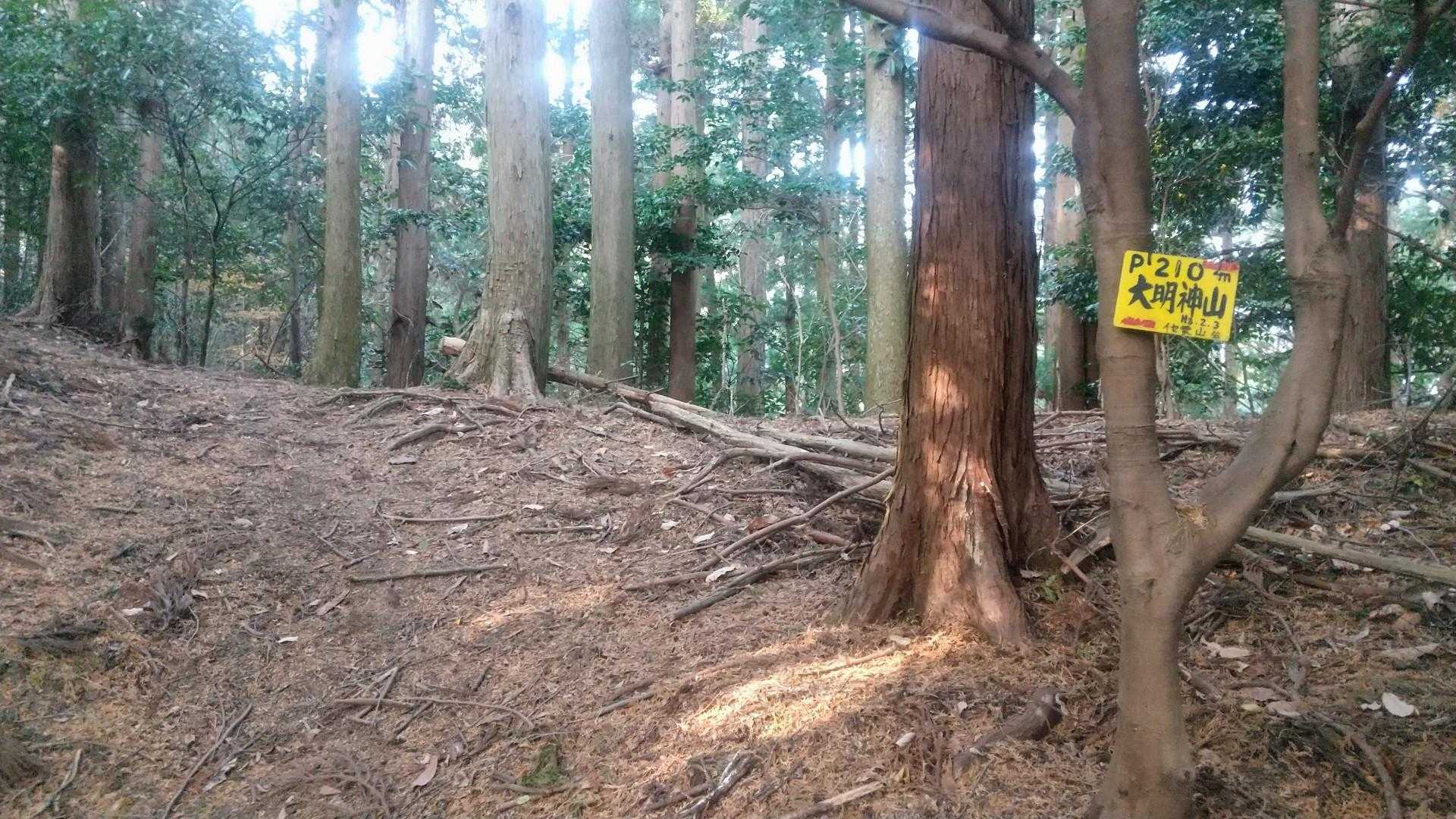 小ピーク？🤔