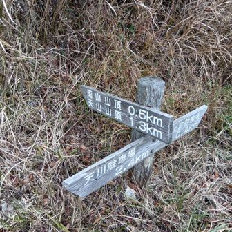 此処から降りて来ました