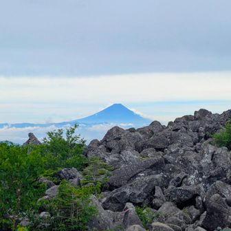 この景色が最高のつまみ🌟