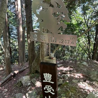 なぜ風神なのかは謎❓
