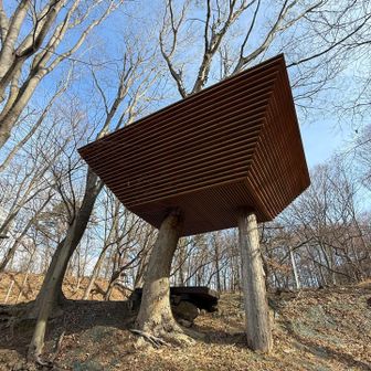 安藤百福記念
アウトドアアクティビティセンターにあるツリーハウス