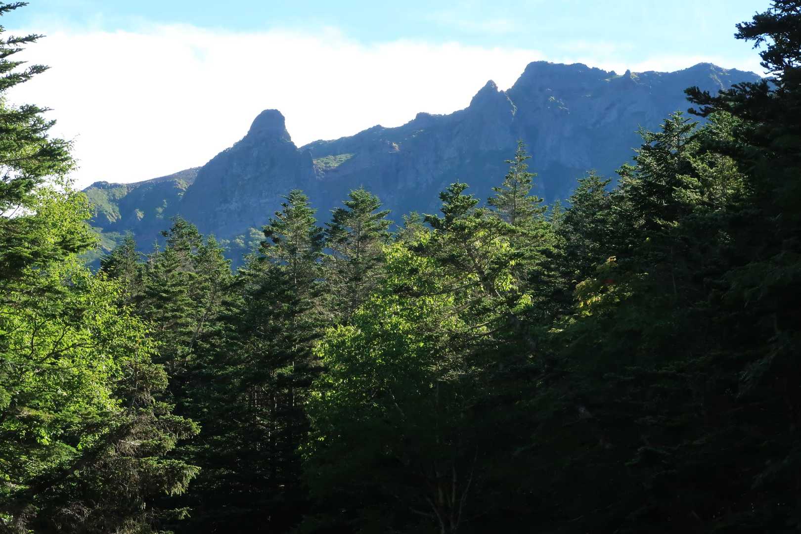横岳が見えて来た