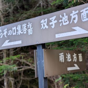 雨池目指します。
平坦な道だと思っていたので、雨池までキツかった（笑）