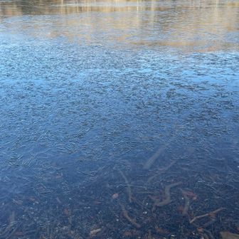 湖が凍ってます🥶