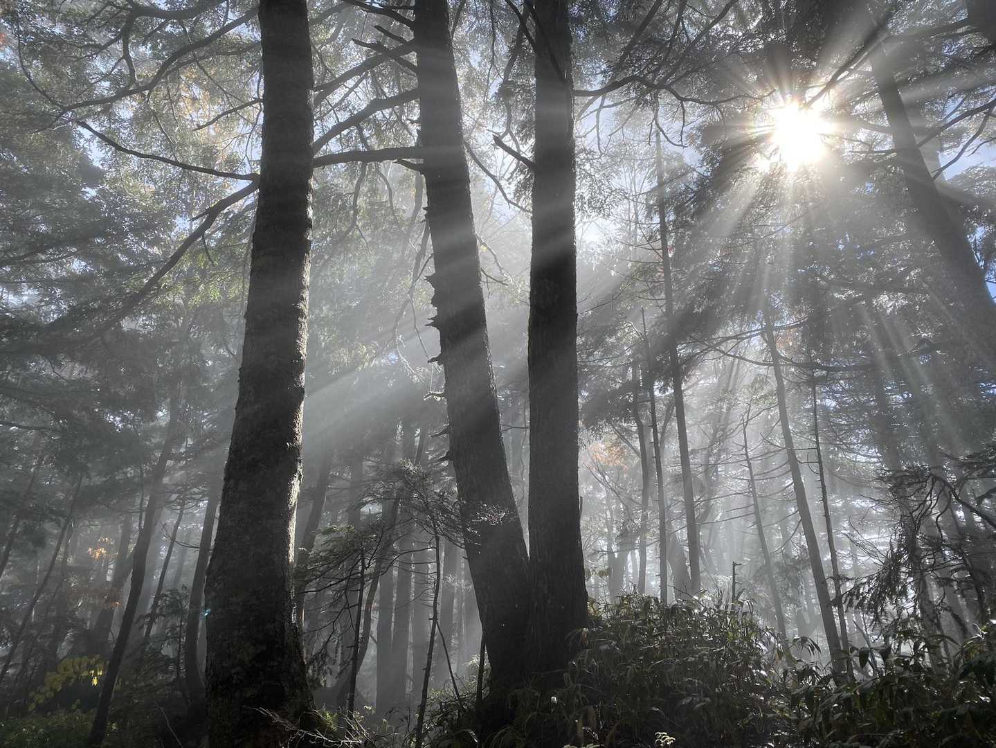 前常念岳-常念乗越 縦走コースの写真