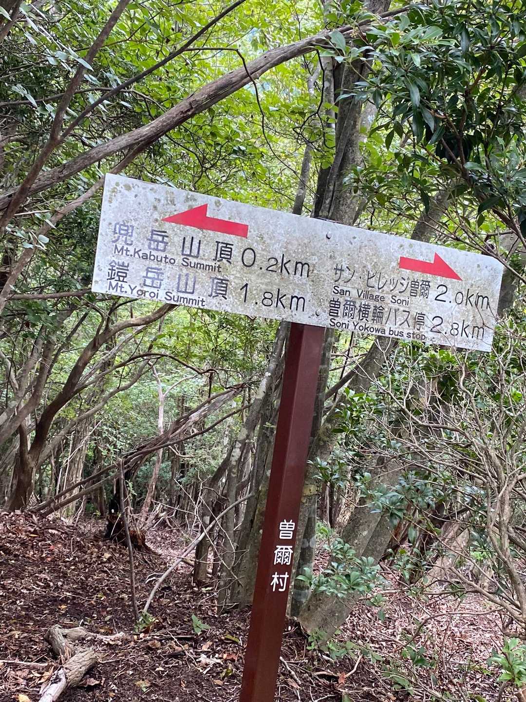 ここまでもけっこうな急登だったけど、残り200メートルはさらにきつい急登になる