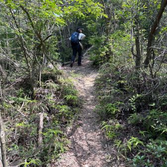 今日は植物愛好家のズミさんと一年ぶりにご一緒してもらいました。🚶‍♀️