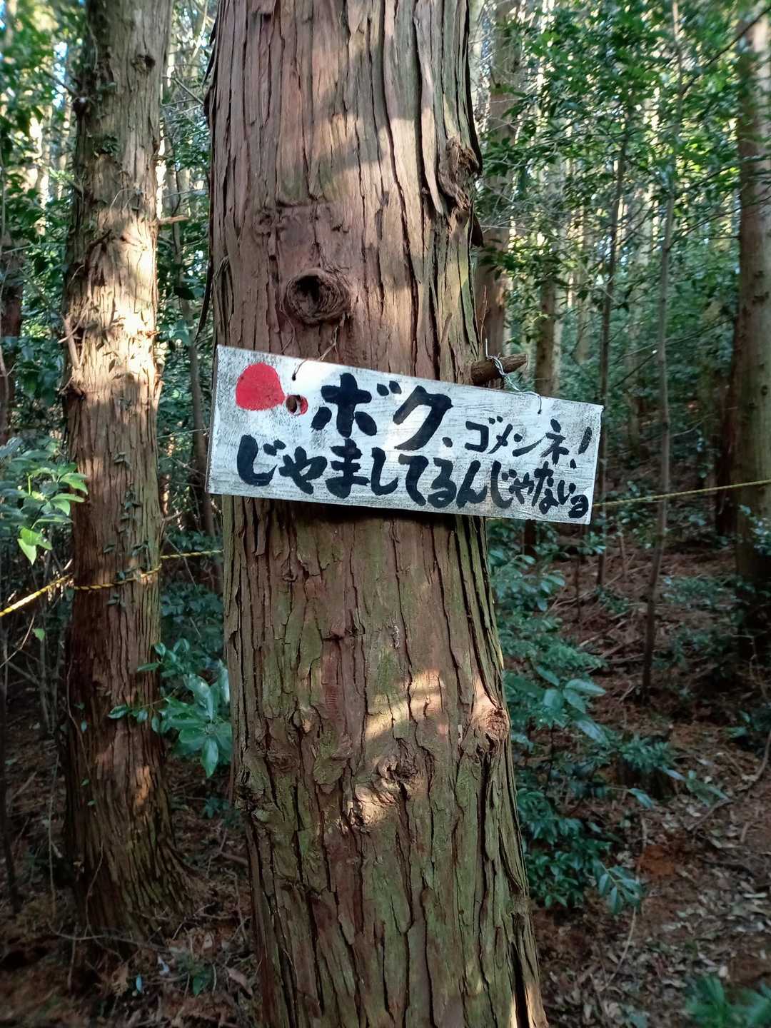 そんなに謙虚な貴方が良き❤️