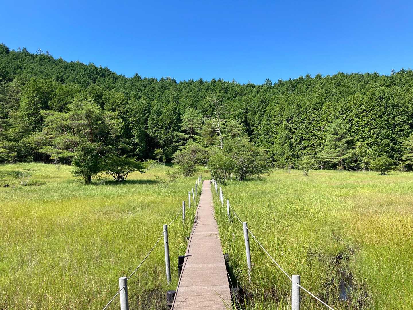 いいね。
本日はアルプス方面に行くつもりだったけど、屏風山で正解だったかも。
涼しい。