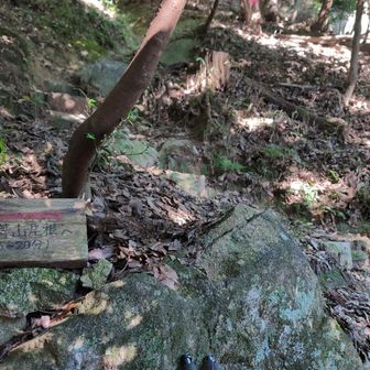 千石岩の近くに『長等山』への案内板を確認。
いったん休憩するため『千石岩』まで登る。