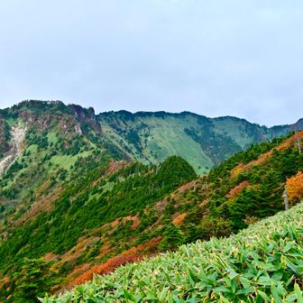 まだまだ進みたいけど　思いの外登りで苦戦したので　ニノ森へ行くのは断念😅
